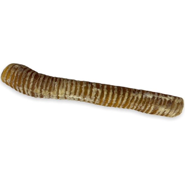 Chasing Our Tails Beef Trachea