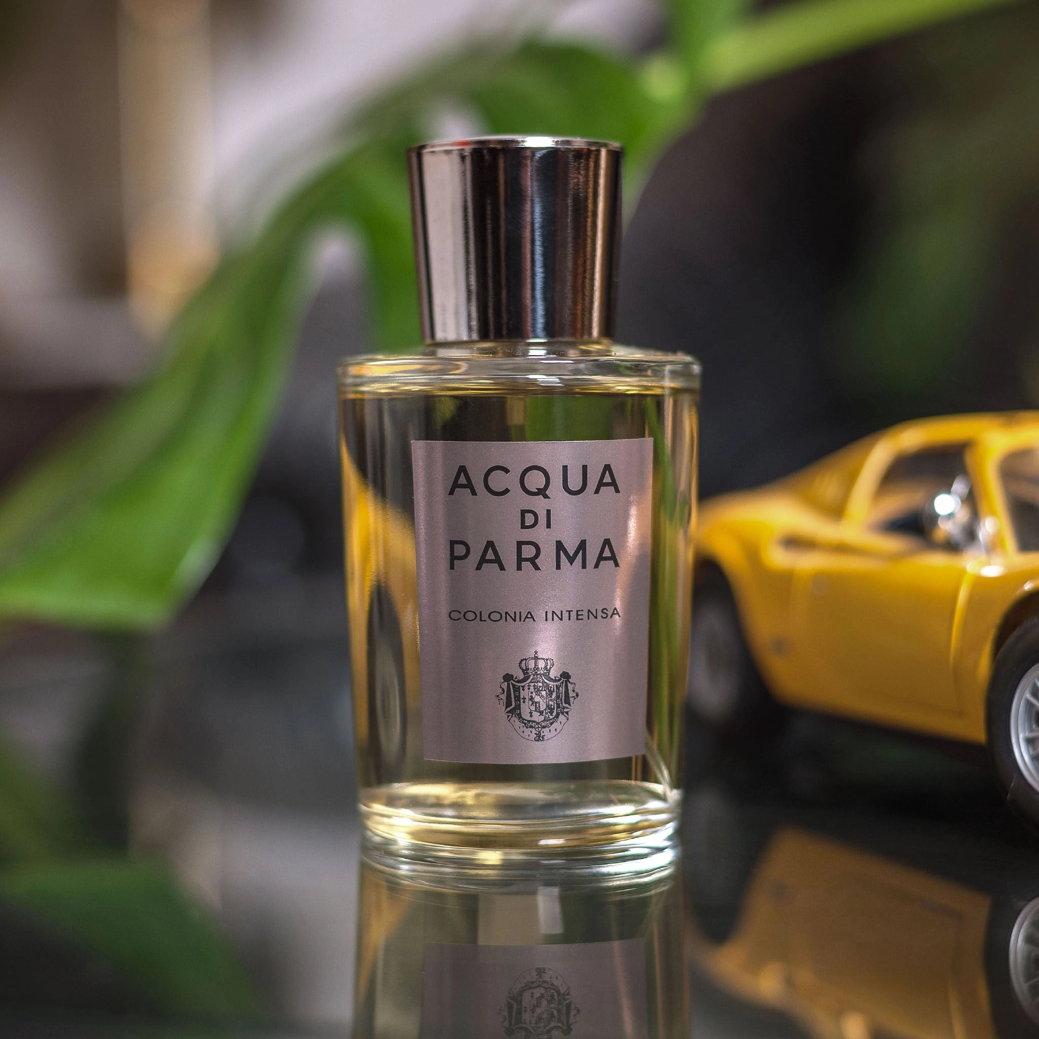 Colonia Intensa Eau de Cologne Spray