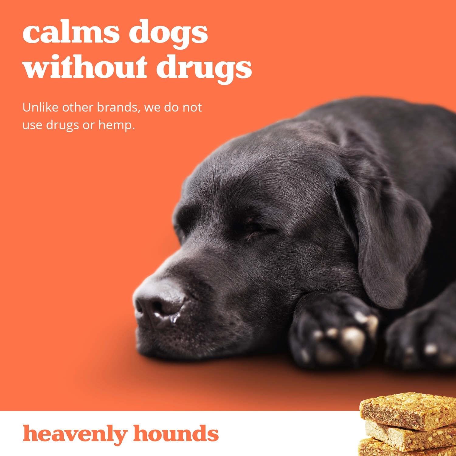 Heavenly Hounds Peanut Butter Relaxation Square Calming Treat for Dogs