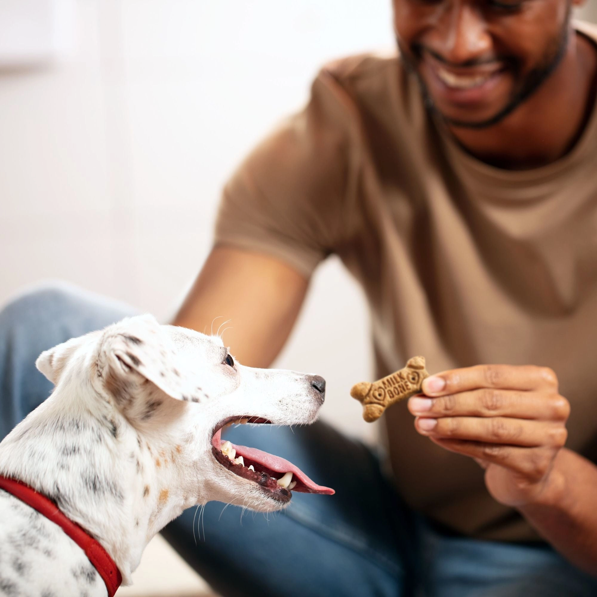 Milk-Bone Flavor Snacks Dog Biscuits, Small, Treats For Dogs Of All Sizes, 60-Ounce