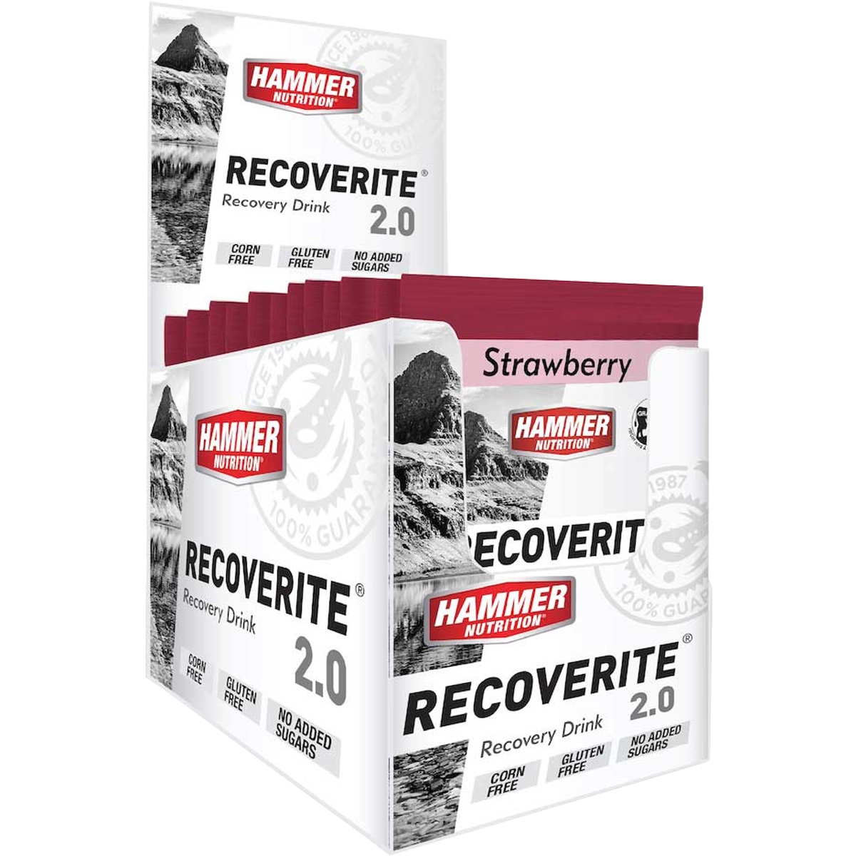 Recoverite 2.0 Single Serving