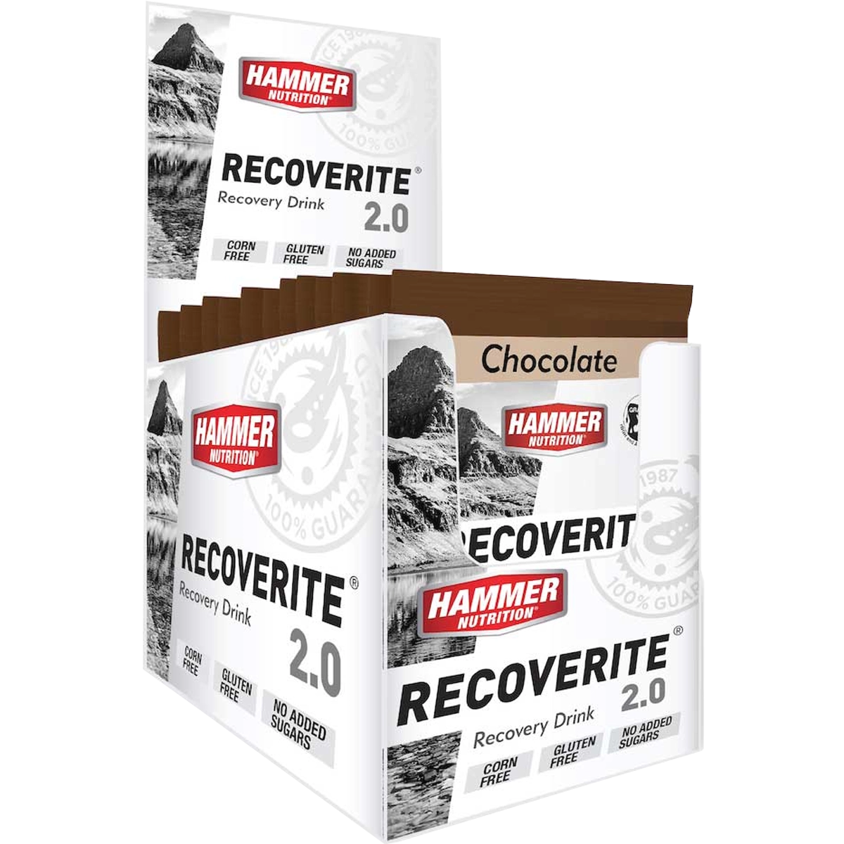 Recoverite 2.0 Single Serving