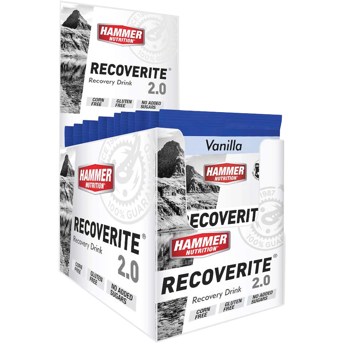 Recoverite 2.0 Single Serving