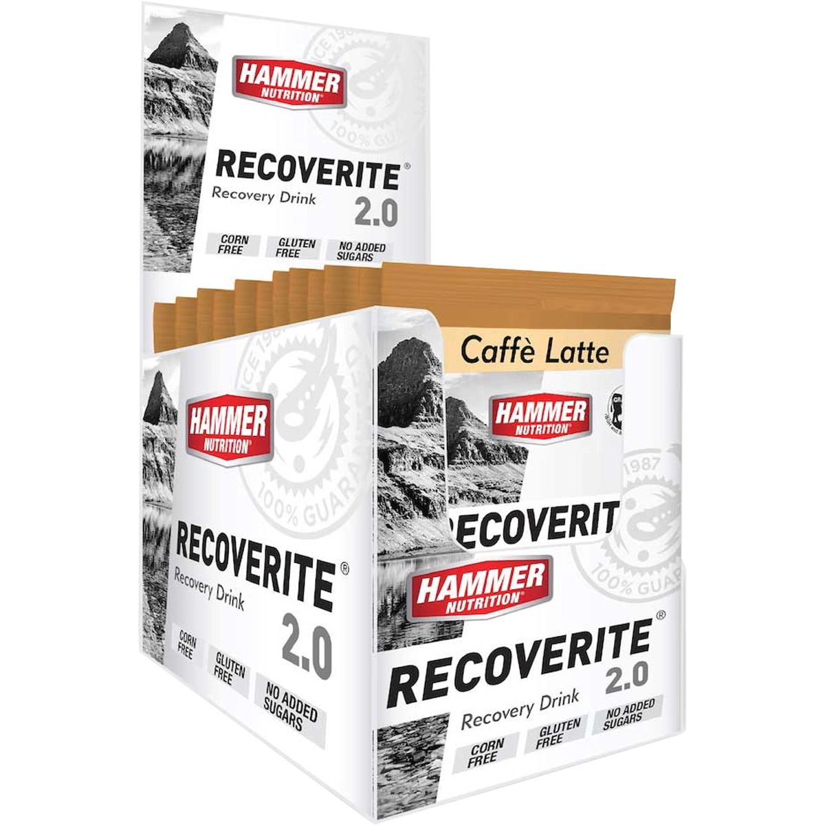 Recoverite 2.0 Single Serving