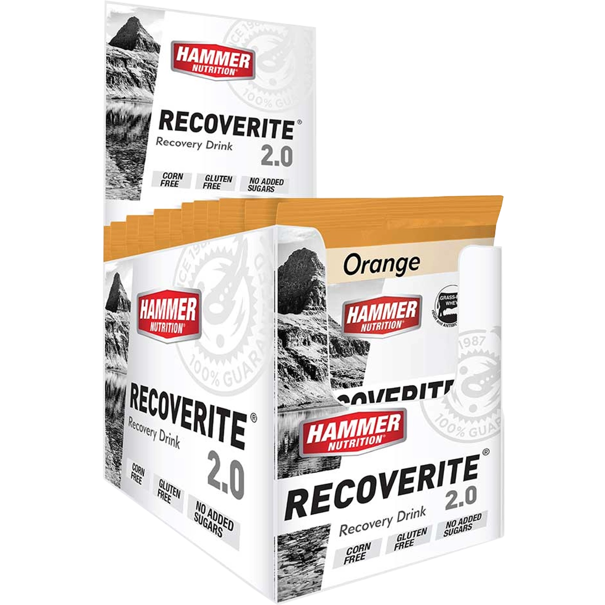 Recoverite 2.0 Single Serving